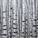 Jennifer Vranes – Love birds (2017)